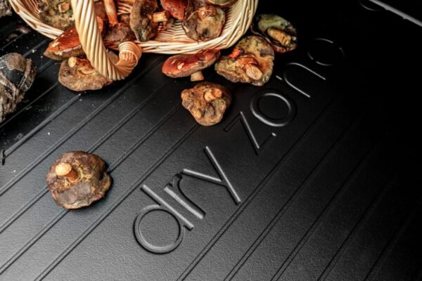 httpsbled.ptwp contentuploads202509DZ403222 2