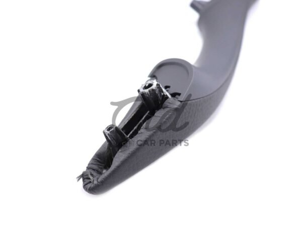 3925 img 8120 scaled 1