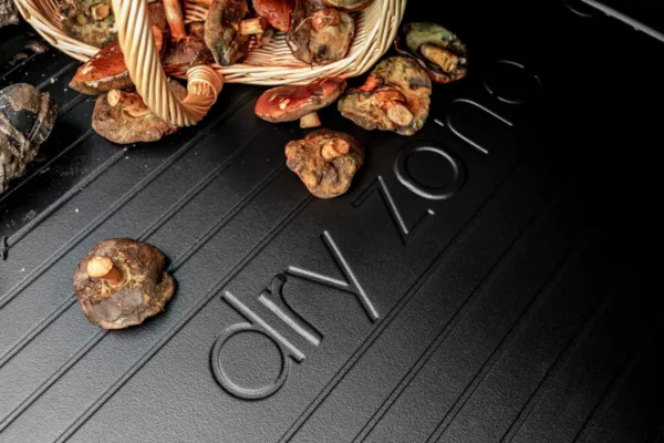 DZ 1 scaled jpg 6522f8a8 f27d 4c8a b011 f4a318203368