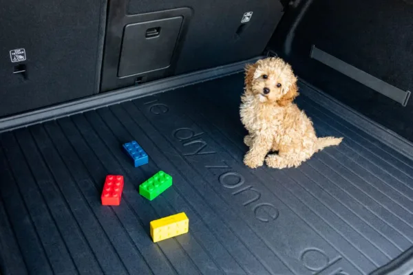 DZ 2 scaled jpg d40b632a 0566 4757 a777 31883536a5a4