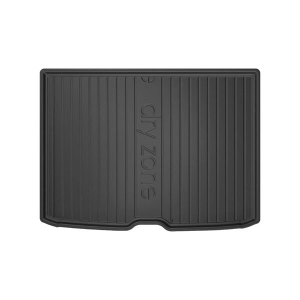 DZ431294
